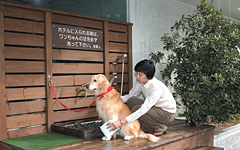 足洗い場
