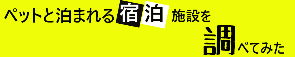 トイプードル宿泊施設調査サイト